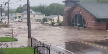 Фото: Скриншот јутуб 10 News First