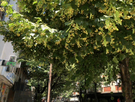 Фото: Новатв