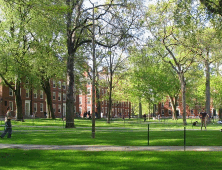 Фото: Википедија