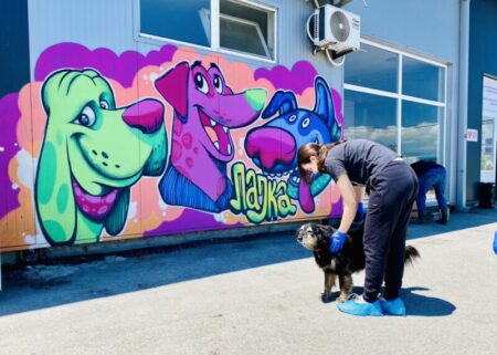 Фото: Фејсбук ЈП Лајка