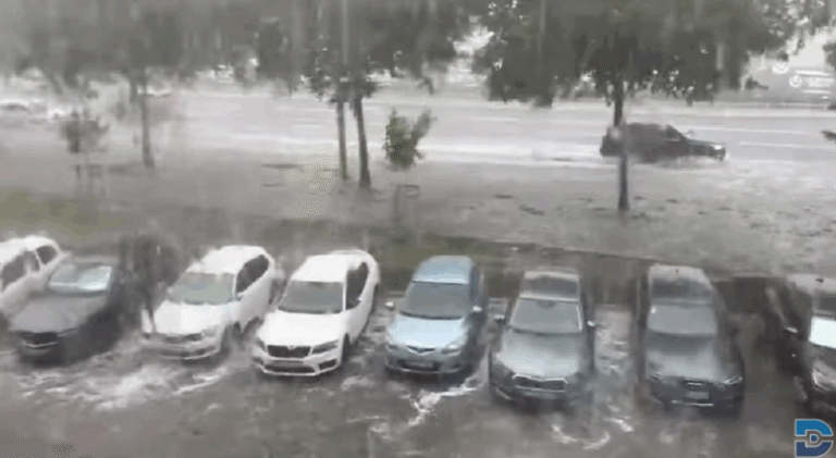 Фото: Скриншот Dalmacija Danas