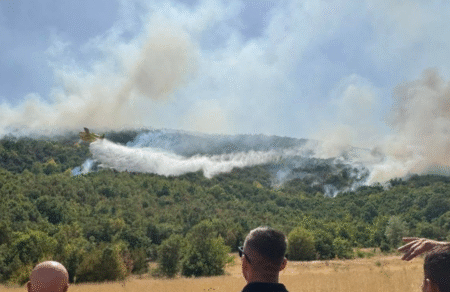 Фото: Фејсбук ЦУК