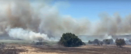 Фото: Скриншот Aitolianews