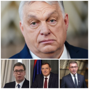 ФАЦ: Падот на Орбан е лоша вест за Вучиќ, за Додик и за Мицкоски